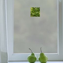 Contemporary Window Privacy Film